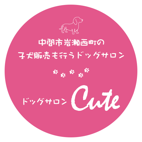 ドッグサロンCute