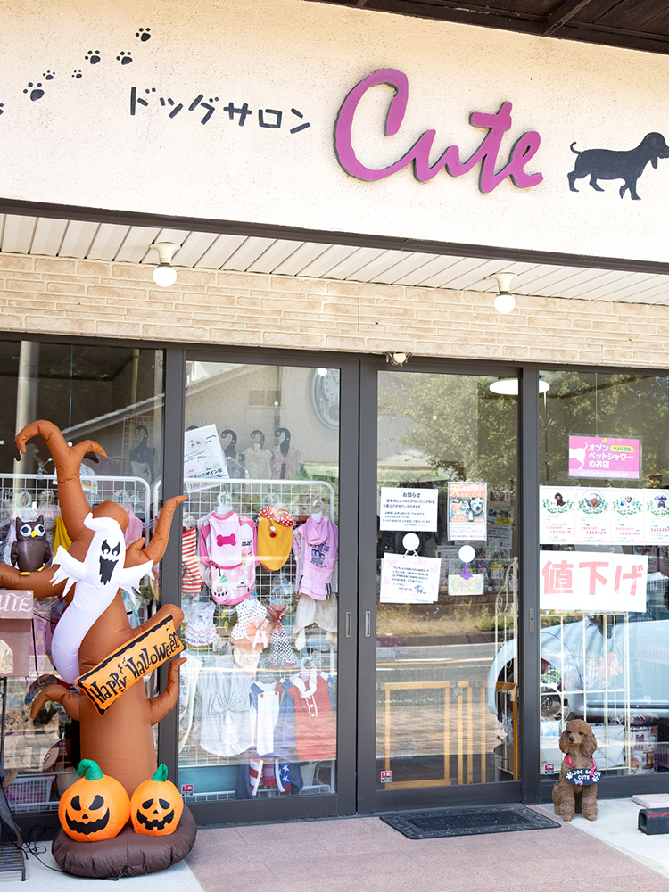 ドッグサロンCute｜中間市岩瀬西町で子犬販売も行うドッグサロン